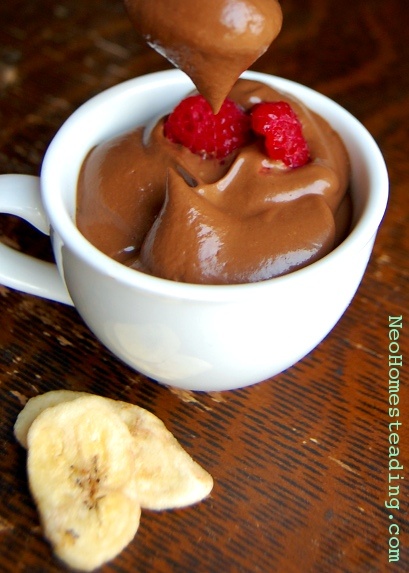 Chocolate mousse with raspberries in a white cup