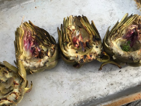 Two halved grilled artichokes