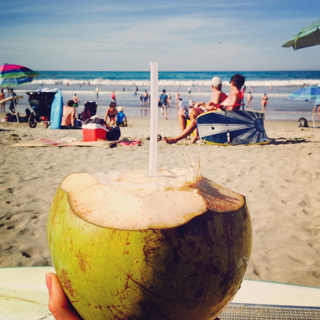 Lauren holding a young coconut on a beach