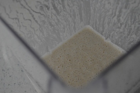 cashew nut milk in a blender