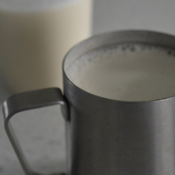 Cashew milk in a metal pitcher