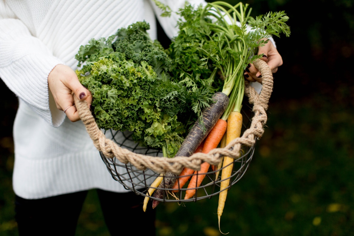 A wire basket with vegetables