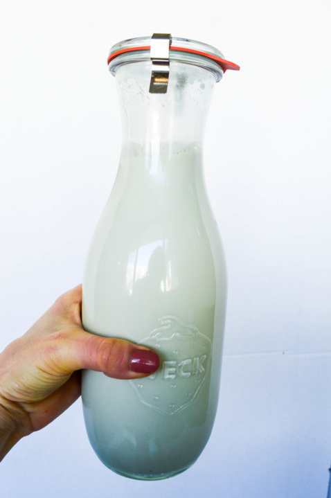 homemade pumpkin seed milk