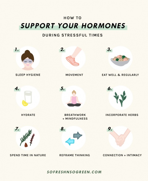 How To Support Your Hormones During Stressful Times » So Fresh N So Green