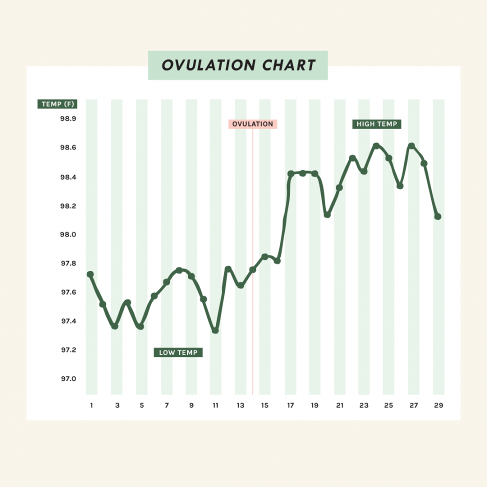 Ovulation Chart