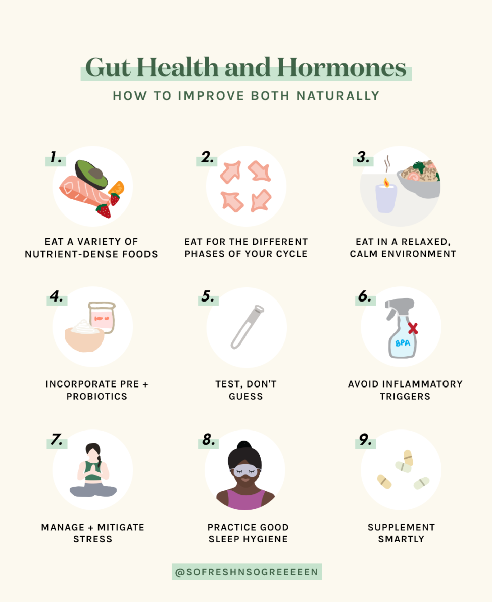 Gut Health And Hormones How To Improve Both Naturally For A Healthier Menstrual Cycle So