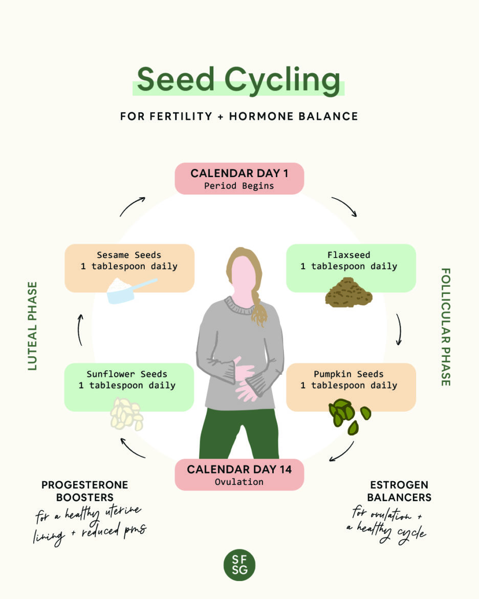 seed cycling chart